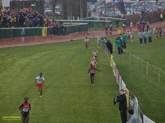 w4k0065.JPG