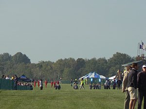 P1030547.JPG