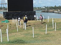 P1010178.JPG