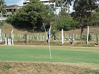 P1010183.JPG