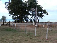 P1010192.JPG
