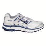 Nike Pegasus 2006