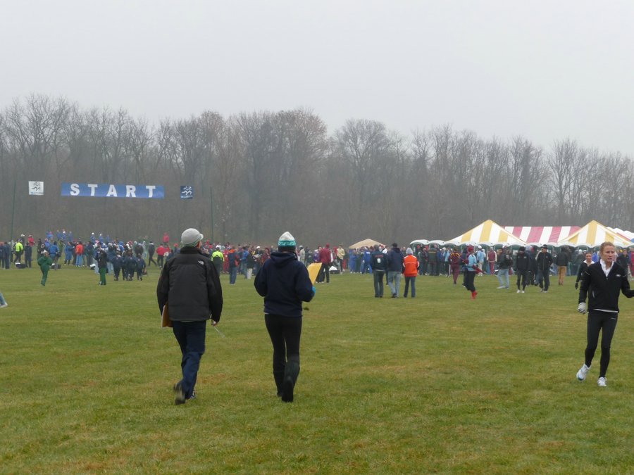 P1000123.JPG