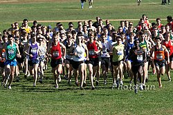 StartH_Men8k_MayorsCup09.jpg