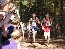 Webb and Sage in 4 and 5