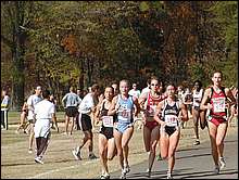 All those in the hunt for the individual title except Chaplin
