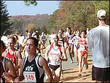 Amazing Depth!!! BYU's Amy Bair (#149) was the Cougar's 7th runner in 45th. Only 3 other teams even had 3 higher than that.
