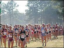 Here come the masses including NCAA 5k runner-up Kelly McDonald of ASU