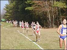 More of the finishing straight
