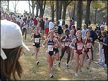 Chasers From Different Angle - Including #2 Metivier (199) and  #3 Fleshman (276) 