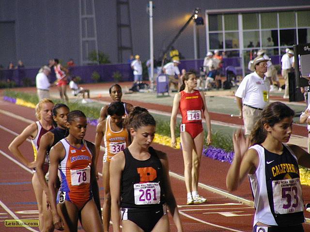 P5311159.JPG