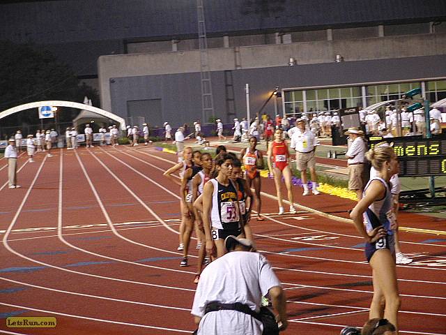 P5311160.JPG