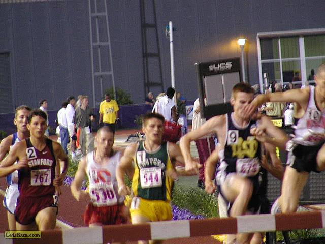 P5311202.JPG