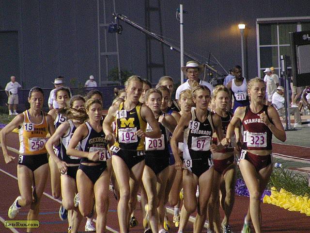 P5311224.JPG
