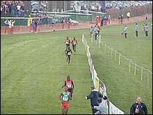Finishing Straight