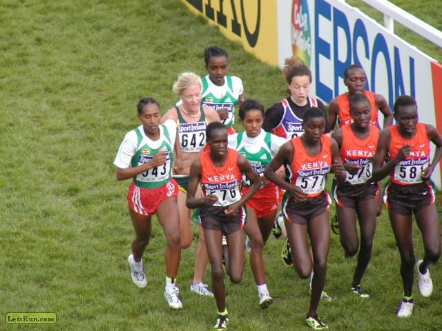 P3230017.JPG