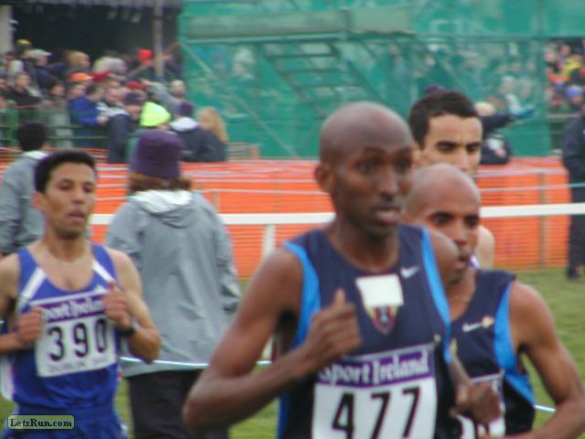 m12k0175.JPG