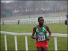 An Ethiopian Back