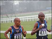 Meb Looking at Abdi