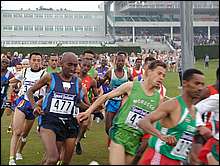 Abdi on First Loop