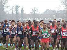 The Pack Early On