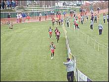 Finishing Straight