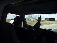Picture 032.jpg
