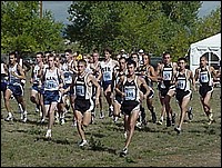 START.JPG