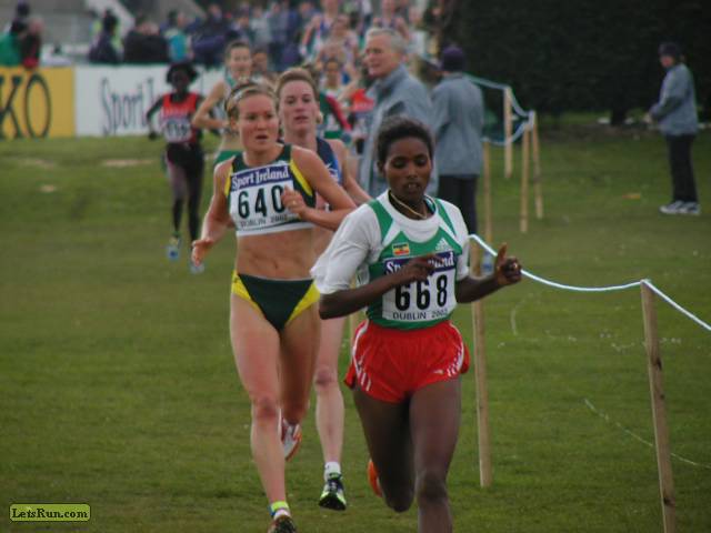 w4k0082.JPG