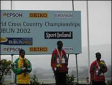 The Medallists