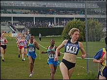 Sarah Hann