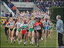 Women's 4k Early On