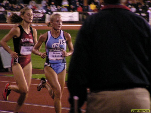 P6200254.JPG