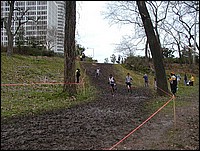 P2160282.JPG