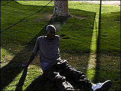 abdi and seneca