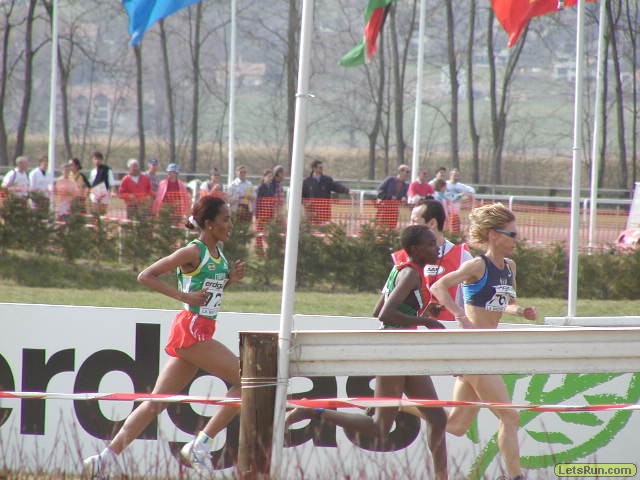 P3290353.JPG