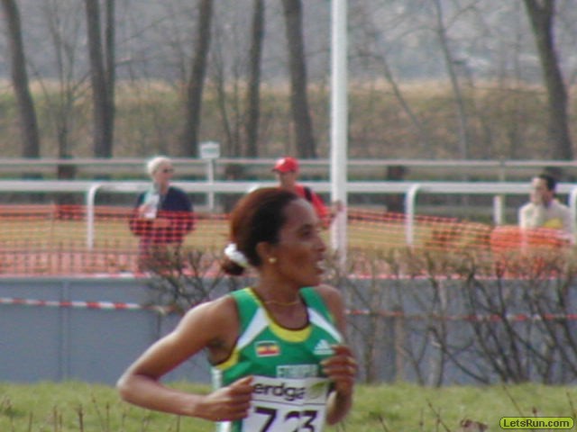 P3290377.JPG