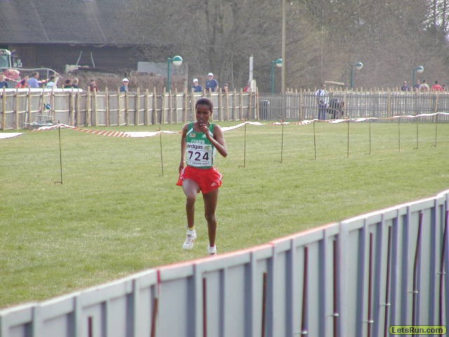 P3290389.JPG