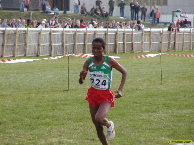 P3290390.JPG