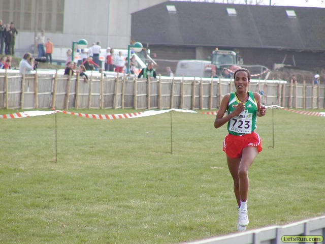 P3290404.JPG
