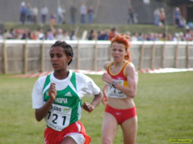 P3290419.JPG