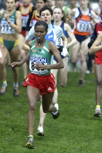 Werknesh Kidane