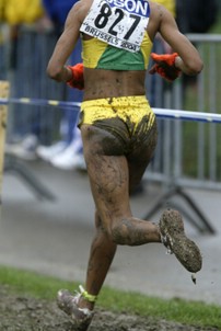 It was Muddy