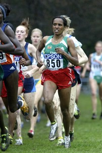 Former Champ Derartu Tulu Would Finish 16th