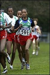Ailyu_Aziza1-JrW-XC04.JPG