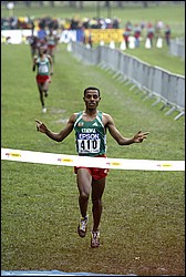 K Bekele