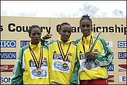JrW-top3-JrWXC04.JPG