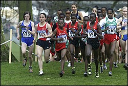 Junior W Start-JrW-XC04.JPG