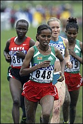 Kidane_Werknesh2-W8k-XC04.JPG