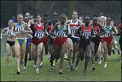 Lead-W8k-XC04.JPG